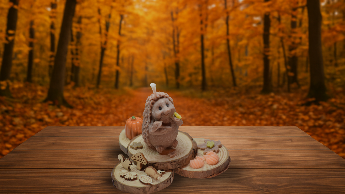 Kleiner Igel-Freund - Gemütliche Herbstdeko